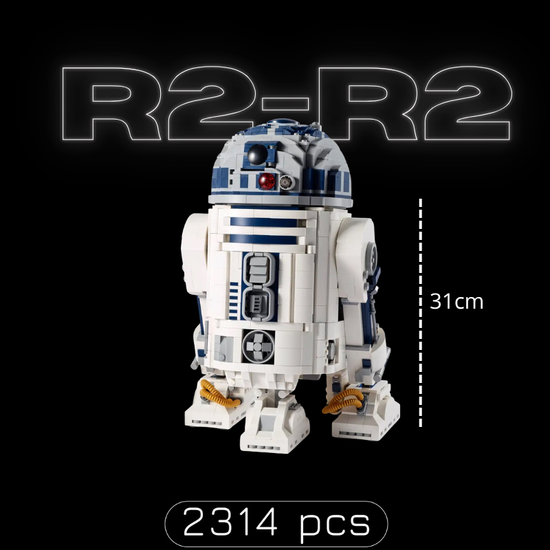 R2-R2 (2314 pièces)