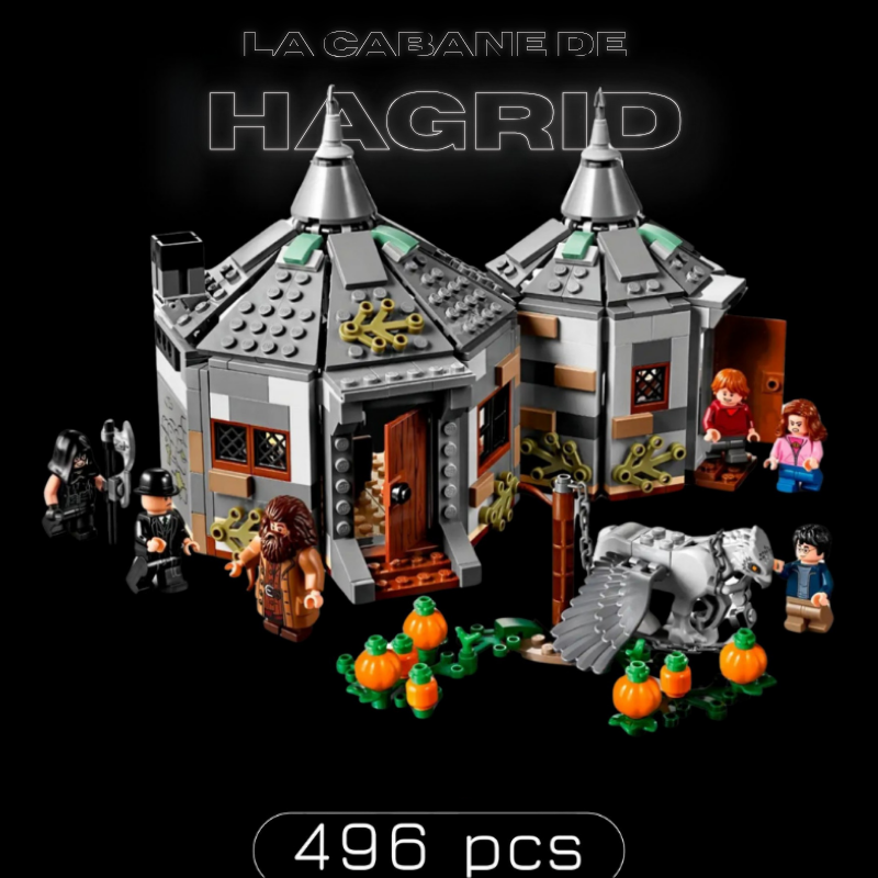 La cabane de Hagrid (496 pièces)