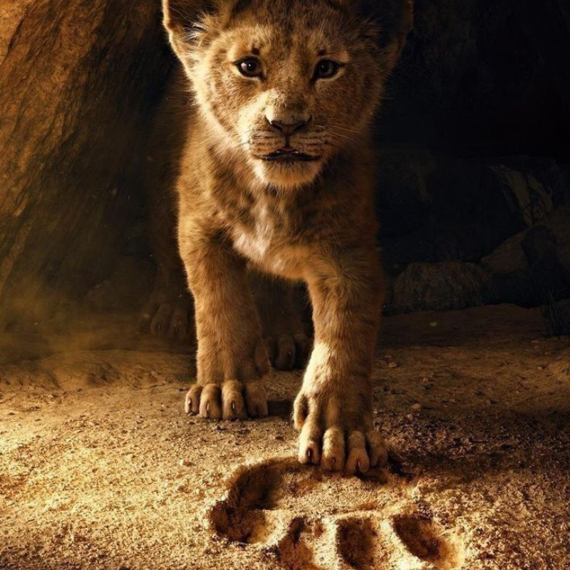 Simba (1445 pièces)