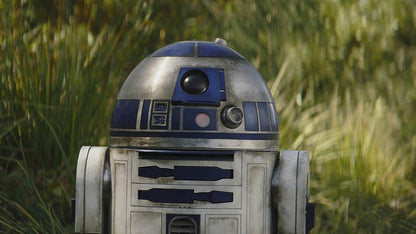 R2-R2 (2314 pièces)
